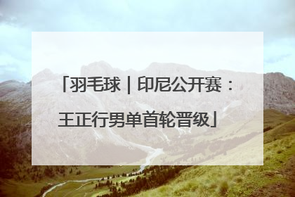 羽毛球｜印尼公开赛：王正行男单首轮晋级