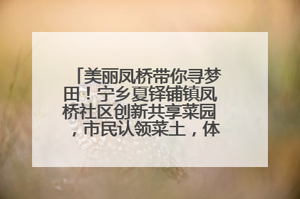 美丽凤桥带你寻梦田！宁乡夏铎铺镇凤桥社区创新共享菜园，市民认领菜土，体验耕种收获乐趣