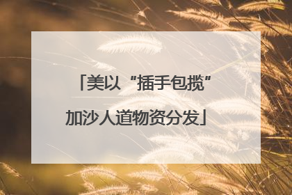 美以“插手包揽”加沙人道物资分发