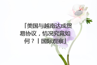 美国与越南达成贸易协议，情况究竟如何？丨国际观察