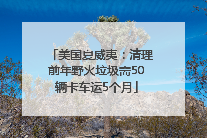 美国夏威夷：清理前年野火垃圾需50辆卡车运5个月