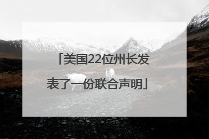美国22位州长发表了一份联合声明