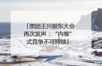 美团王兴股东大会再次发声：“内卷”式竞争不可持续