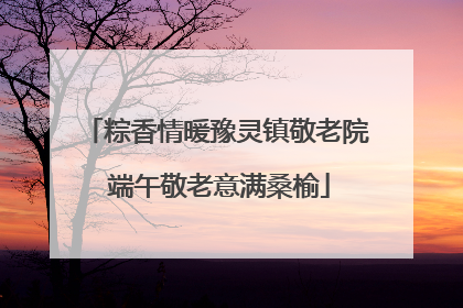 粽香情暖豫灵镇敬老院 端午敬老意满桑榆