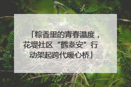 粽香里的青春温度，花堤社区“鹤耋安”行动架起跨代暖心桥
