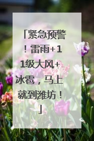 紧急预警！雷雨+11级大风+冰雹，马上就到潍坊！