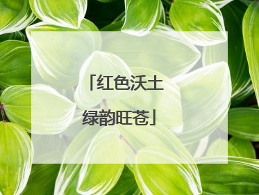 红色沃土 绿韵旺苍