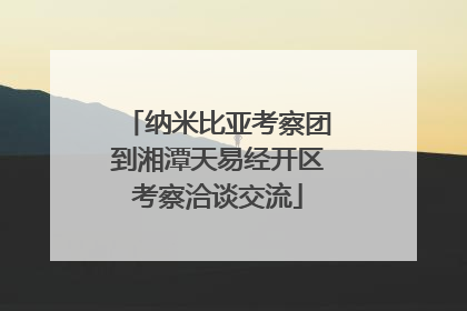 纳米比亚考察团到湘潭天易经开区考察洽谈交流