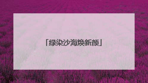 绿染沙海焕新颜