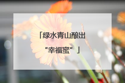 绿水青山酿出“幸福蜜”