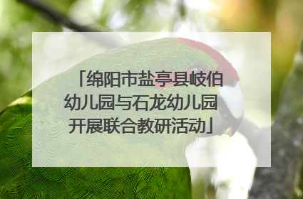 绵阳市盐亭县岐伯幼儿园与石龙幼儿园开展联合教研活动