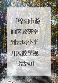 绵阳市游仙区教研室到云凤小学开展教学视导活动