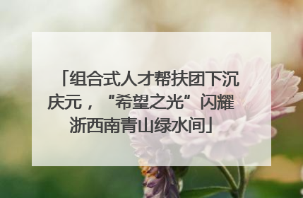 组合式人才帮扶团下沉庆元，“希望之光”闪耀浙西南青山绿水间