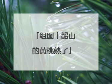 组图丨韶山的黄桃熟了