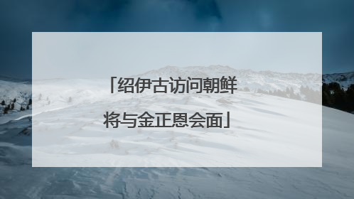 绍伊古访问朝鲜 将与金正恩会面