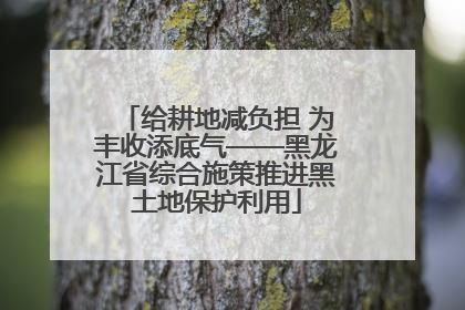 给耕地减负担 为丰收添底气——黑龙江省综合施策推进黑土地保护利用