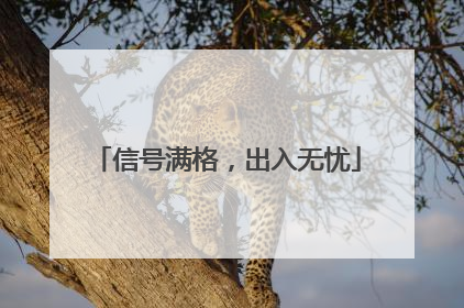 信号满格，出入无忧