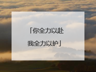 你全力以赴 我全力以护