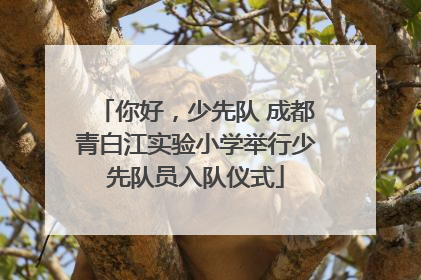 你好，少先队 成都青白江实验小学举行少先队员入队仪式
