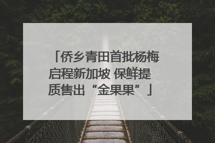 侨乡青田首批杨梅启程新加坡 保鲜提质售出“金果果”