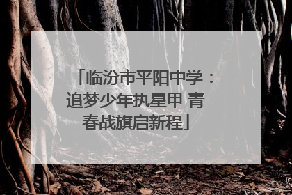 临汾市平阳中学：追梦少年执星甲 青春战旗启新程