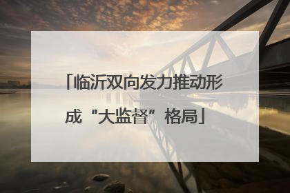 临沂双向发力推动形成“大监督”格局