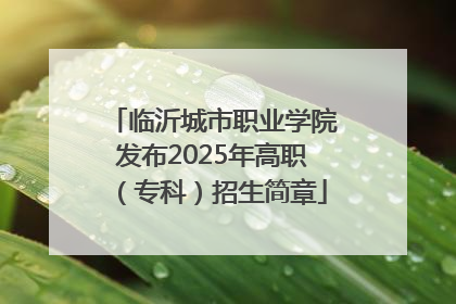 临沂城市职业学院发布2025年高职（专科）招生简章