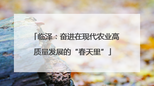 临泽：奋进在现代农业高质量发展的“春天里”