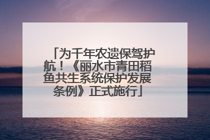 为千年农遗保驾护航！《丽水市青田稻鱼共生系统保护发展条例》正式施行