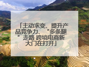 主动求变、提升产品竞争力、“多条腿”走路 跨境电商新大门在打开