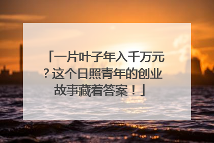 一片叶子年入千万元？这个日照青年的创业故事藏着答案！