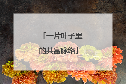 一片叶子里的共富脉络