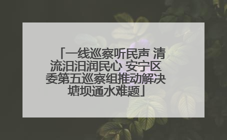 一线巡察听民声 清流汨汨润民心 安宁区委第五巡察组推动解决塘坝通水难题