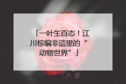 一叶生百态！江川棕编非遗里的“动物世界”