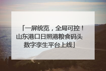 一屏统览，全局可控！山东港口日照港粮食码头数字孪生平台上线