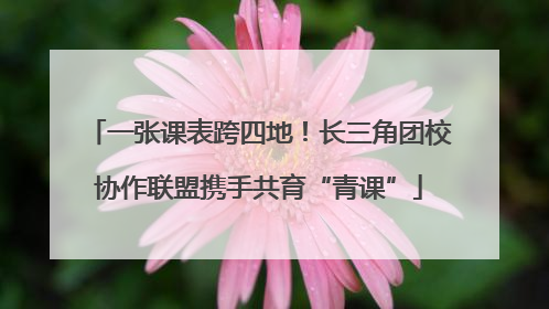 一张课表跨四地！长三角团校协作联盟携手共育“青课”