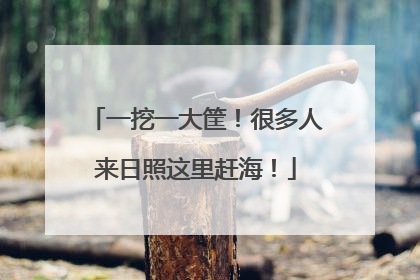 一挖一大筐！很多人来日照这里赶海！