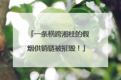 一条横跨湘桂的假烟供销链被摧毁！
