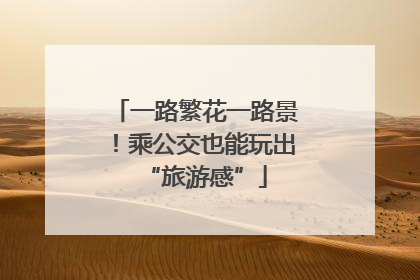 一路繁花一路景！乘公交也能玩出“旅游感”