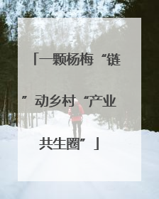 一颗杨梅“链”动乡村“产业共生圈”
