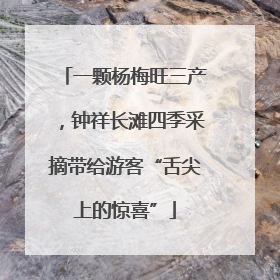 一颗杨梅旺三产，钟祥长滩四季采摘带给游客“舌尖上的惊喜”