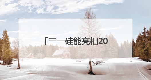三一硅能亮相2025 SNEC展，智能微网成焦点