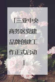 三亚中央商务区党建品牌创建工作正式启动