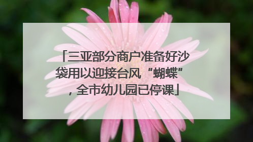 三亚部分商户准备好沙袋用以迎接台风“蝴蝶”，全市幼儿园已停课