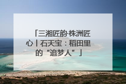 三湘匠韵·株洲匠心丨石天宝：稻田里的“追梦人”
