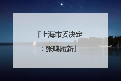 上海市委决定：张鸣履新