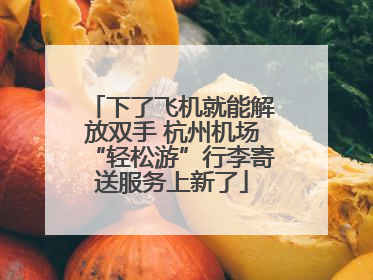 下了飞机就能解放双手 杭州机场“轻松游”行李寄送服务上新了