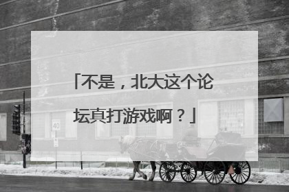 不是，北大这个论坛真打游戏啊？