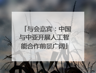 与会嘉宾：中国与中亚开展人工智能合作前景广阔