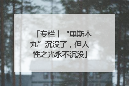 专栏丨“里斯本丸”沉没了，但人性之光永不沉没